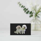 Carte de visite d'éleveur de Bichon (Debout devant)