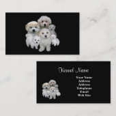 Carte de visite d'éleveur de Bichon Frise (Devant / Derrière)