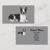 Carte de visite d'éleveur de Boston Terrier (Devant / Derrière)