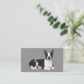 Carte de visite d'éleveur de Boston Terrier (Debout devant)