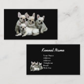 Carte de visite d'éleveur de bouledogue français (Devant / Derrière)