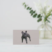 Carte de visite d'éleveur de bouledogue français (Debout devant)
