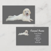 Carte de visite d'éleveur de caniche (Devant / Derrière)