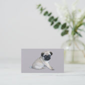 Carte de visite d'éleveur de carlin (Debout devant)