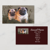 Carte de visite d'éleveur de carlin (Devant / Derrière)