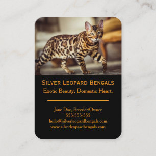 Carte de visite d'éleveur de chats Bengal de luxe 