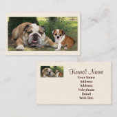 Carte de visite d'éleveur de chiens de Taureau (Devant / Derrière)