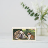 Carte de visite d'éleveur de chiens de Taureau (Debout devant)