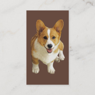 Carte de visite d'éleveur de corgi de Gallois de
