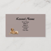 Carte de visite d'éleveur de golden retriever (Dos)