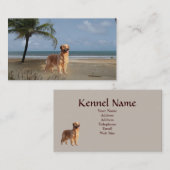 Carte de visite d'éleveur de golden retriever (Devant / Derrière)