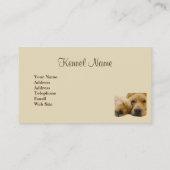 Carte de visite d'éleveur de golden retriever (Dos)