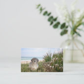 Carte de visite d'éleveur de golden retriever (Debout devant)