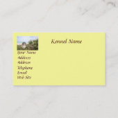 Carte de visite d'éleveur de golden retriever (Dos)