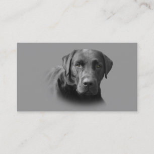 Carte de visite d'éleveur de labrador retriever