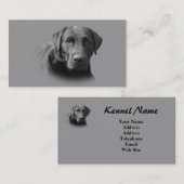 Carte de visite d'éleveur de labrador retriever (Devant / Derrière)