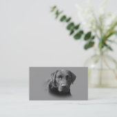 Carte de visite d'éleveur de labrador retriever (Debout devant)