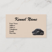 Carte de visite d'éleveur de labrador retriever (Dos)