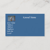 Carte de visite d'éleveur de labrador retriever (Dos)