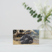 Carte de visite d'éleveur de labrador retriever (Debout devant)