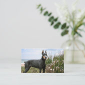 Carte de visite d'éleveur de Pinscher de dobermann (Debout devant)