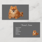 Carte de visite d'éleveur de Pomeranian (Devant / Derrière)