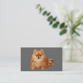 Carte de visite d'éleveur de Pomeranian (Debout devant)
