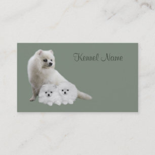 Carte de visite d'éleveur de Pomeranian
