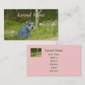 Carte de visite d'éleveur de Schnauzer miniature (Devant / Derrière)