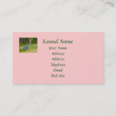 Carte de visite d'éleveur de Schnauzer miniature (Dos)