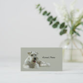 Carte de visite d'éleveur de Schnauzer miniature (Debout devant)