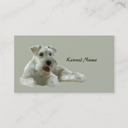 Carte de visite d'éleveur de Schnauzer miniature (Devant)