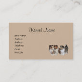 Carte de visite d'éleveur de Sheltie (Dos)