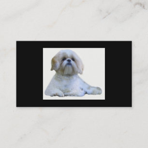 Carte de visite d'éleveur de Shih Tzu