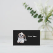 Carte de visite d'éleveur de Shih Tzu (Debout devant)