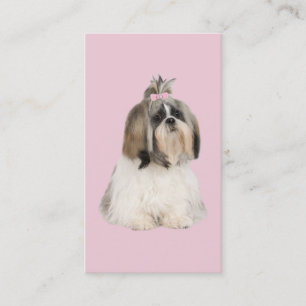 Carte de visite d'éleveur de Shih Tzu
