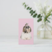 Carte de visite d'éleveur de Shih Tzu (Debout devant)