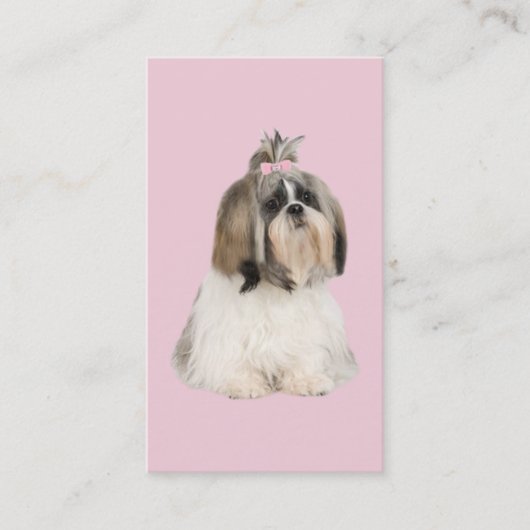 Carte de visite d'éleveur de Shih Tzu (Devant)