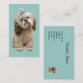 Carte de visite d'éleveur de Shih Tzu (Devant / Derrière)