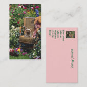 Carte de visite d'éleveur de Yorkshire Terrier (Devant / Derrière)