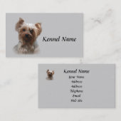 Carte de visite d'éleveur de Yorkshire Terrier (Devant / Derrière)
