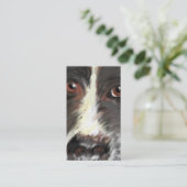 Carte de visite, délivrance de border collie (Debout devant)