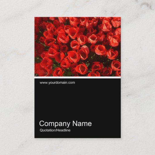 Carte De Visite Demi&demi photo 01 (Devant)