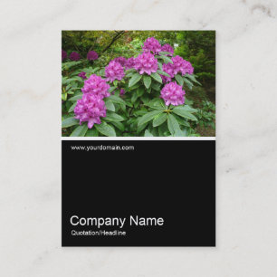 Carte De Visite Demi&demi photo 026 - Rhododendrons