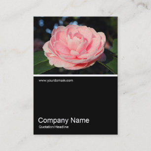 Carte De Visite Demi&Demi Photo 0306 - Camellia rose
