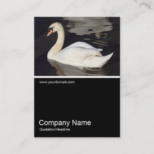 Carte De Visite Demi&Demi Photo 0307 - Cygne muet