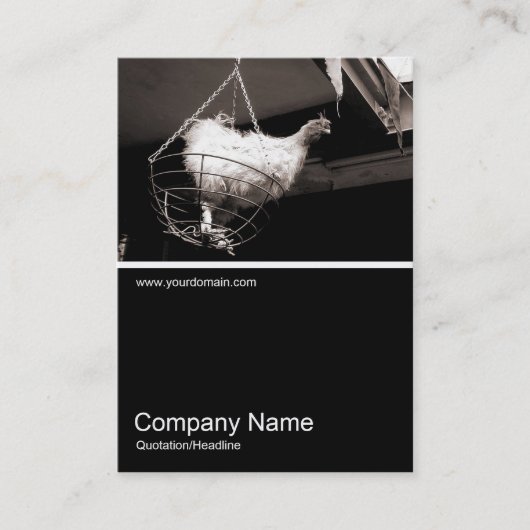 Carte De Visite Demi&demi photo 044 - Poulet dans le panier (Devant)