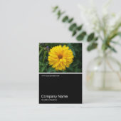 Carte De Visite Demi&demi photo 057 - Chrysanthème (Debout devant)