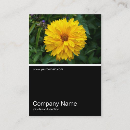 Carte De Visite Demi&demi photo 057 - Chrysanthème (Devant)