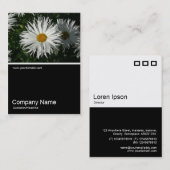 Carte De Visite Demi&demi photo 062 - Daisy (Devant / Derrière)